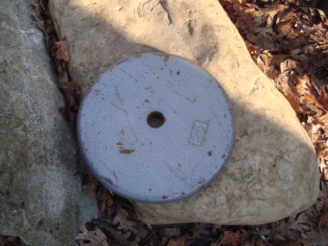 dsc03517_zpslalird82