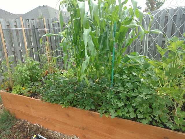 img_20160701_170158195