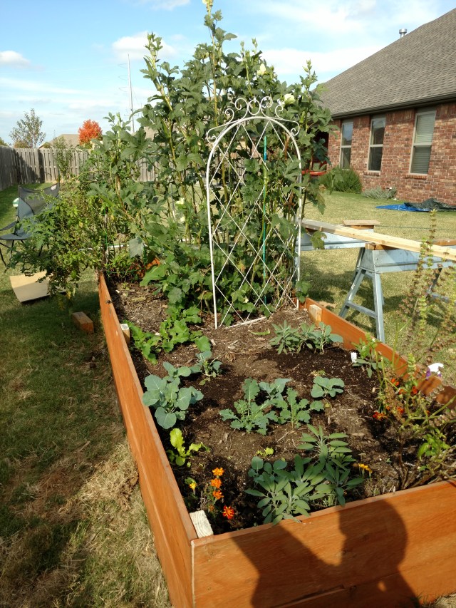 img_20161030_142101053