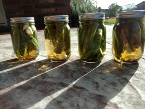 img_20161105_152819443